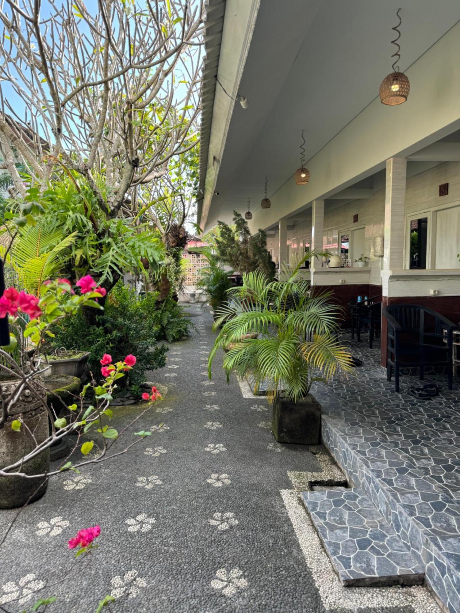 Guest House Home 46 Bali Canggu Exterior foto